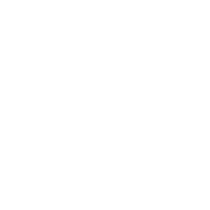 <b>Risk</b> Insurance